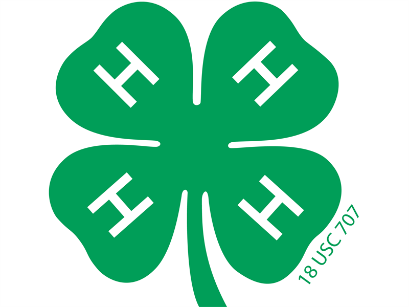 Logo for 2025 Edwards County 4-H Fair