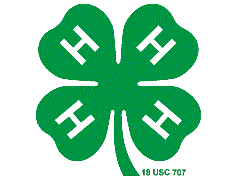 Logo for 2025 Kankakee County Fair