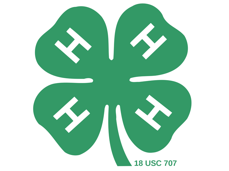 Logo for 2025 Dewitt-Macon-Piatt Fair