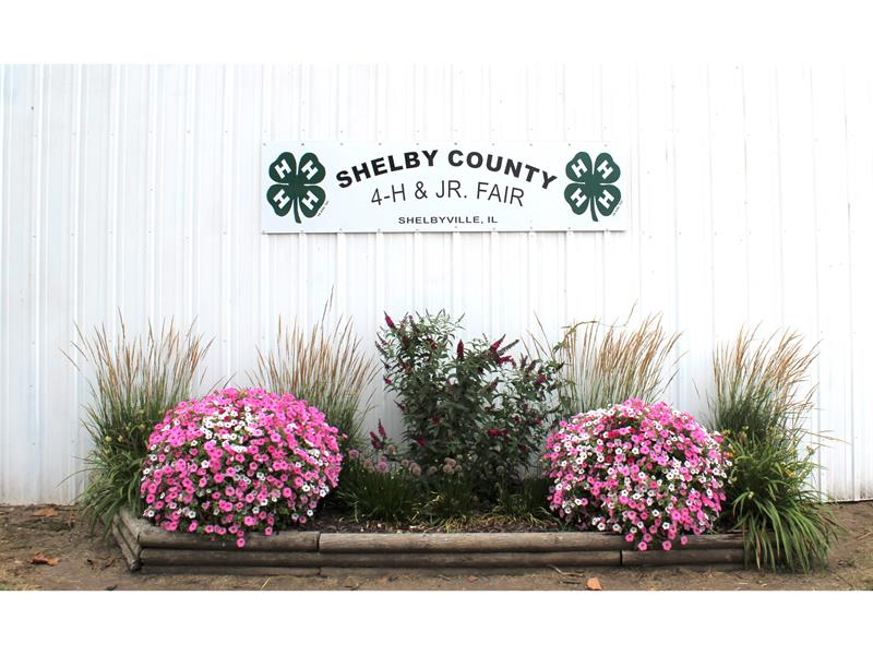 Logo for 2025 Shelby County Fair