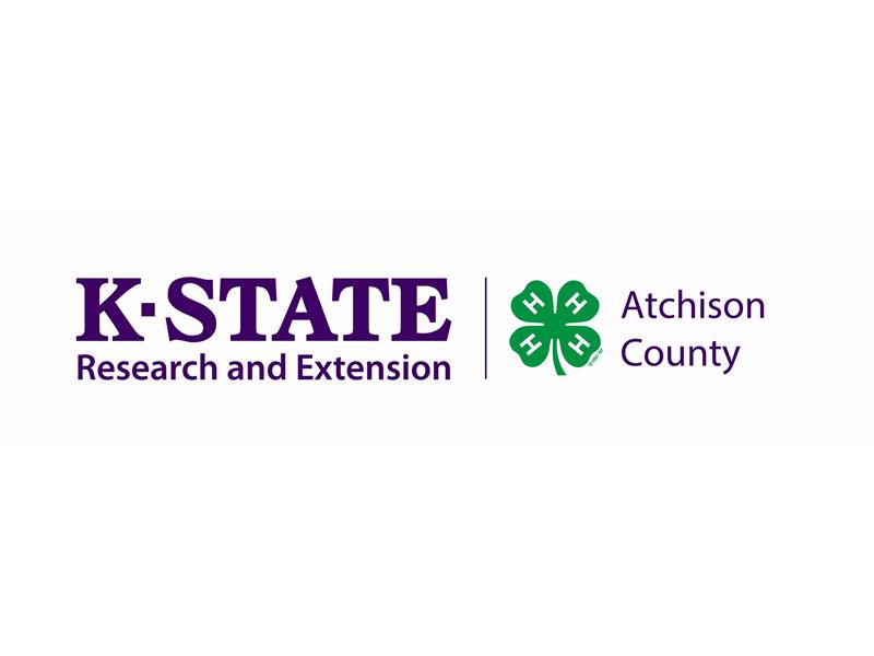 Logo for 2025 Atchison County Fair