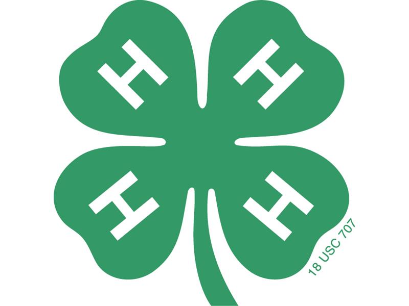 Logo for 2025 Bowman County Fair
