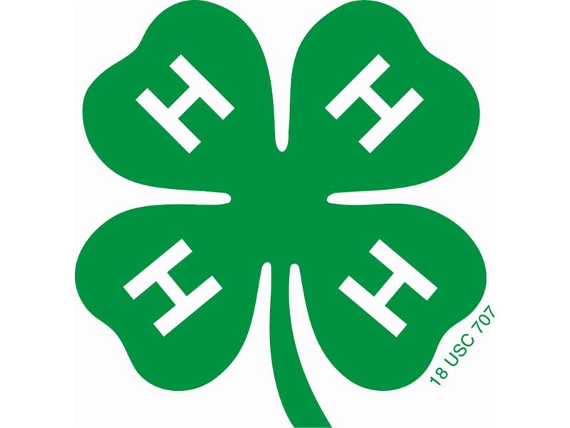 Logo for 2025 Cattaraugus County Fair (4-H)
