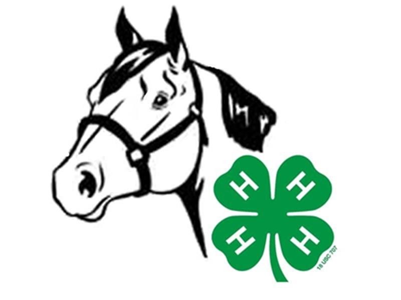 Logo for 2025 Lake County Horse Show