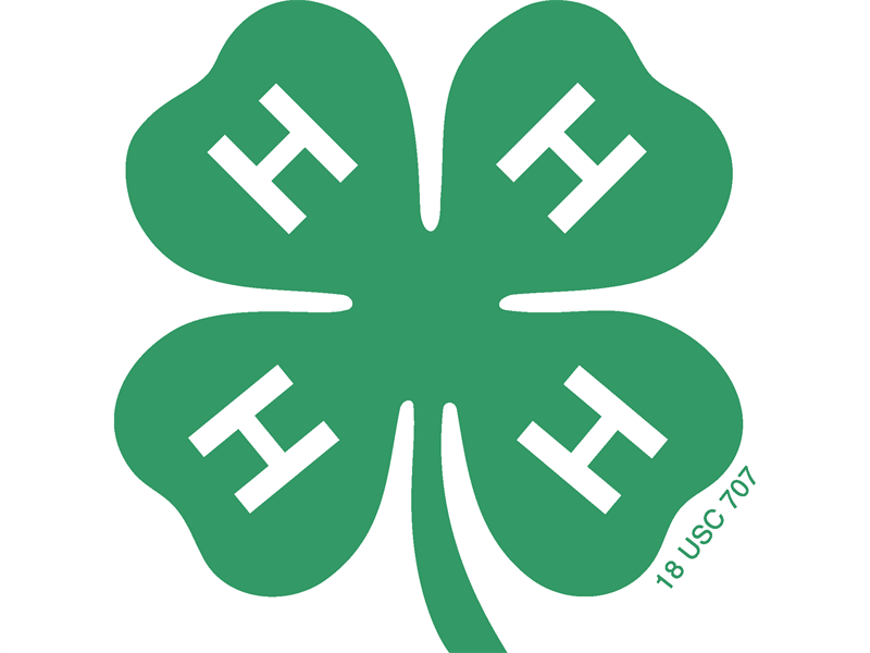 Logo for 2025 District 9 Horse Shows