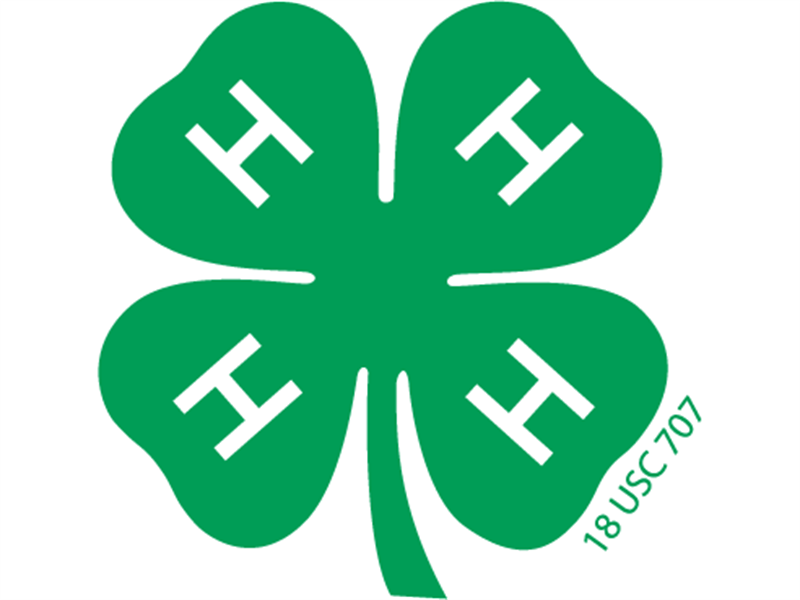 Logo for 2026 Madison County Fair